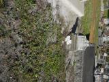 image of grave number 760482